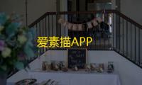 爱素描APP